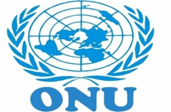 GPA, harcèlement scolaire, porno : Juristes pour l’enfance adresse ses recommandations au Comité des droits de l’enfant de l’ONU (CRC)